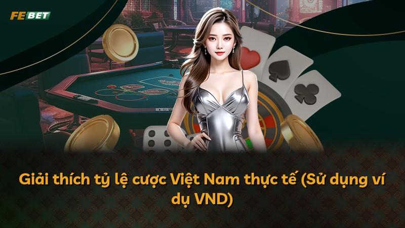 Giải thích tỷ lệ cược Việt Nam thực tế (Sử dụng ví dụ VND)