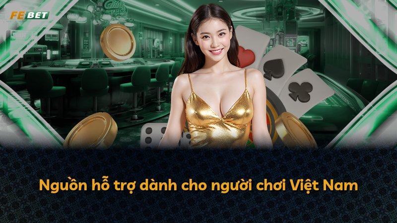 Nguồn hỗ trợ dành cho người chơi Việt Nam
