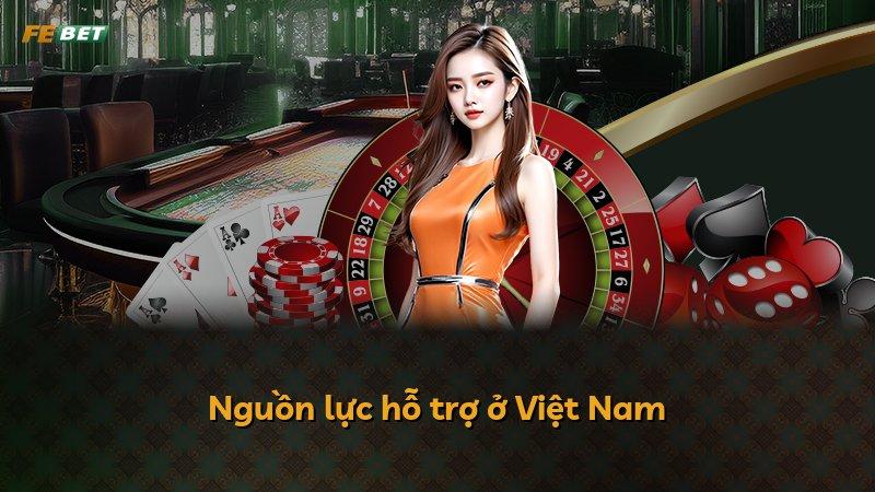 Nguồn lực hỗ trợ ở Việt Nam