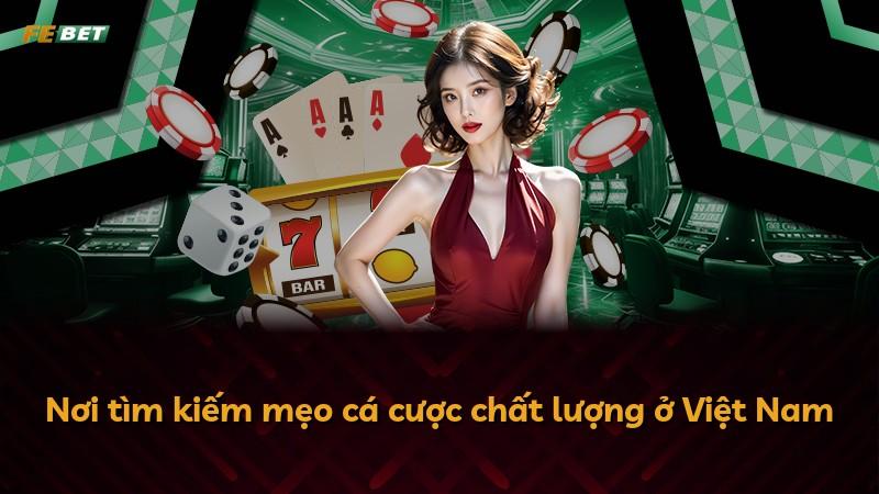Nơi tìm kiếm mẹo cá cược chất lượng ở Việt Nam