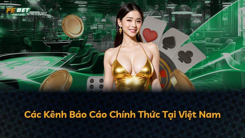 Các Kênh Báo Cáo Chính Thức Tại Việt Nam