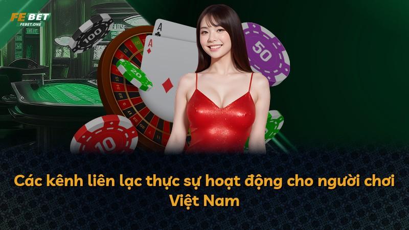 Các kênh liên lạc thực sự hoạt động cho người chơi Việt Nam