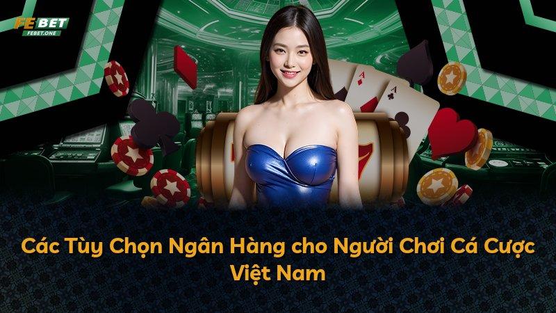 Các Tùy Chọn Ngân Hàng cho Người Chơi Cá Cược Việt Nam