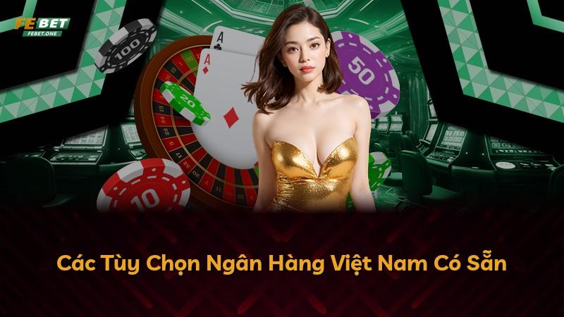 Các Tùy Chọn Ngân Hàng Việt Nam Có Sẵn