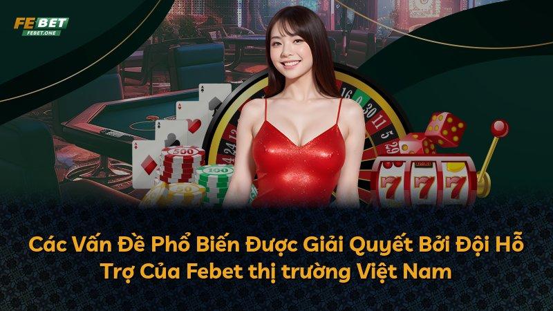 Các Vấn Đề Phổ Biến Được Giải Quyết Bởi Đội Hỗ Trợ Của Febet thị trường Việt Nam