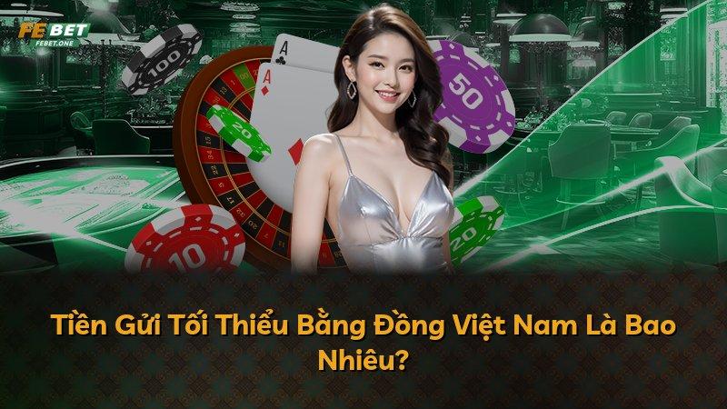 Tiền Gửi Tối Thiểu Bằng Đồng Việt Nam Là Bao Nhiêu?