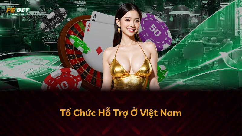 Tổ Chức Hỗ Trợ Ở Việt Nam